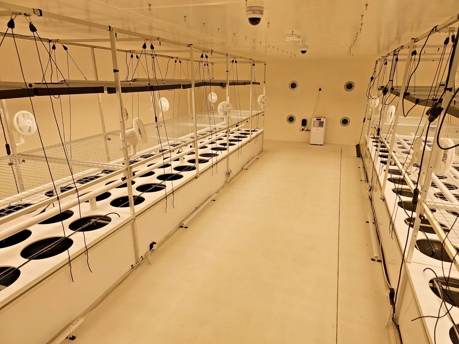 AI-Assisted Commercial Aeroponic & Hydroponic Biosphere - Image 2