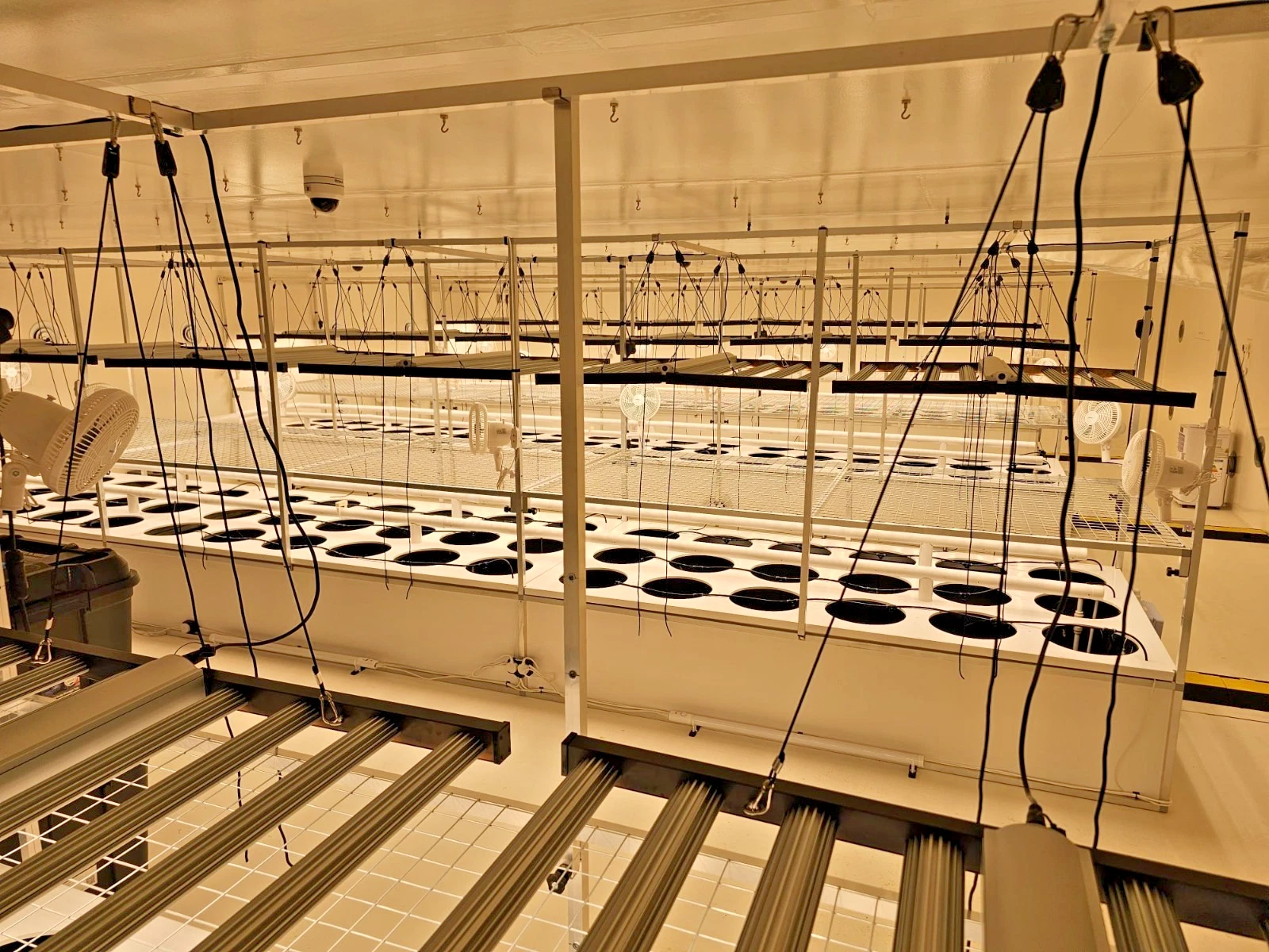 AI-Assisted Commercial Aeroponic & Hydroponic Biosphere - Image 3