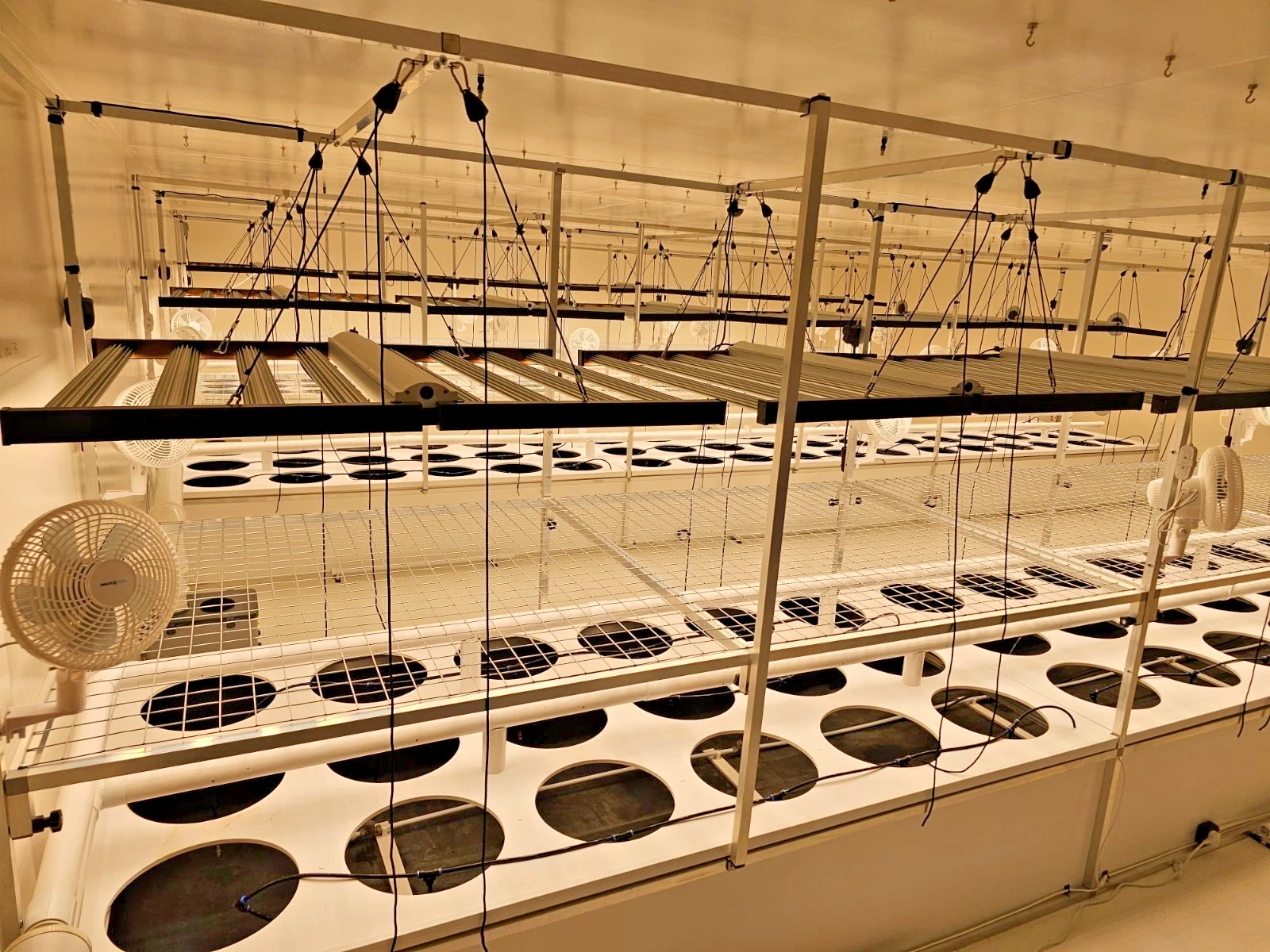 AI-Assisted Commercial Aeroponic & Hydroponic Biosphere - Image 4