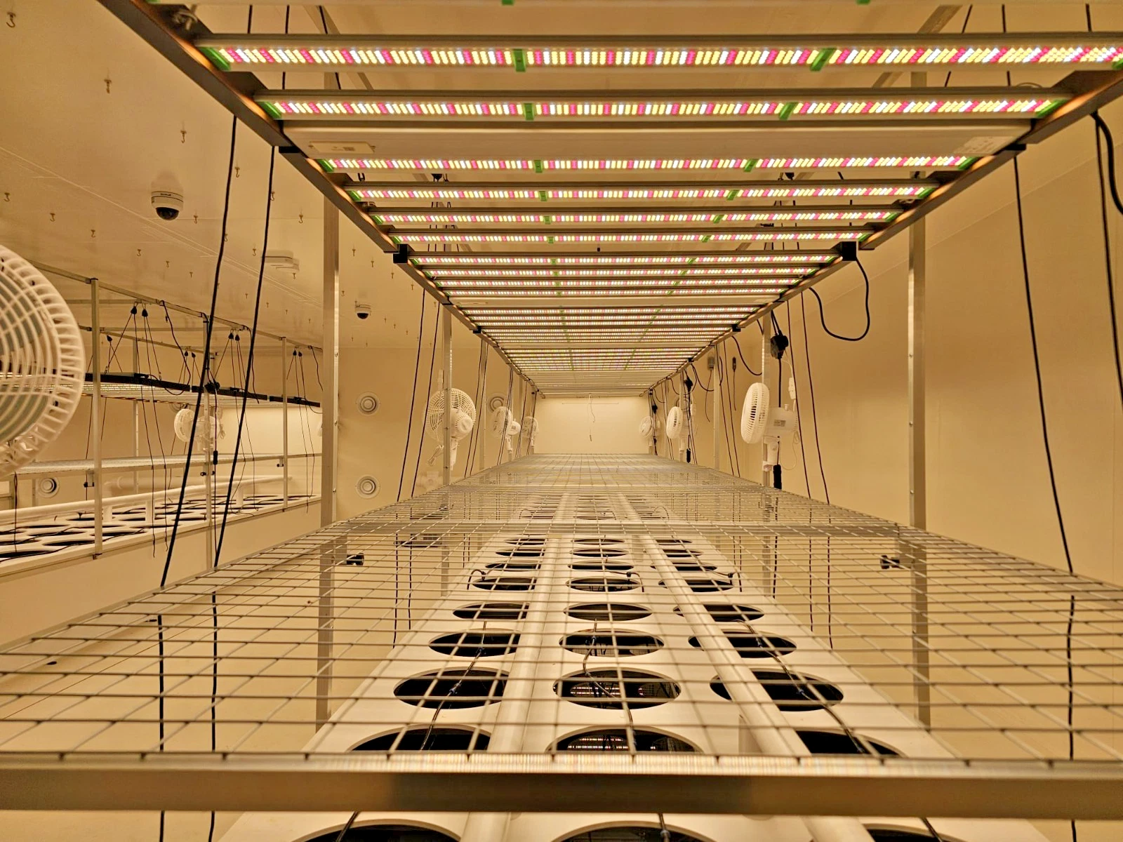 AI-Assisted Commercial Aeroponic & Hydroponic Biosphere - Image 5