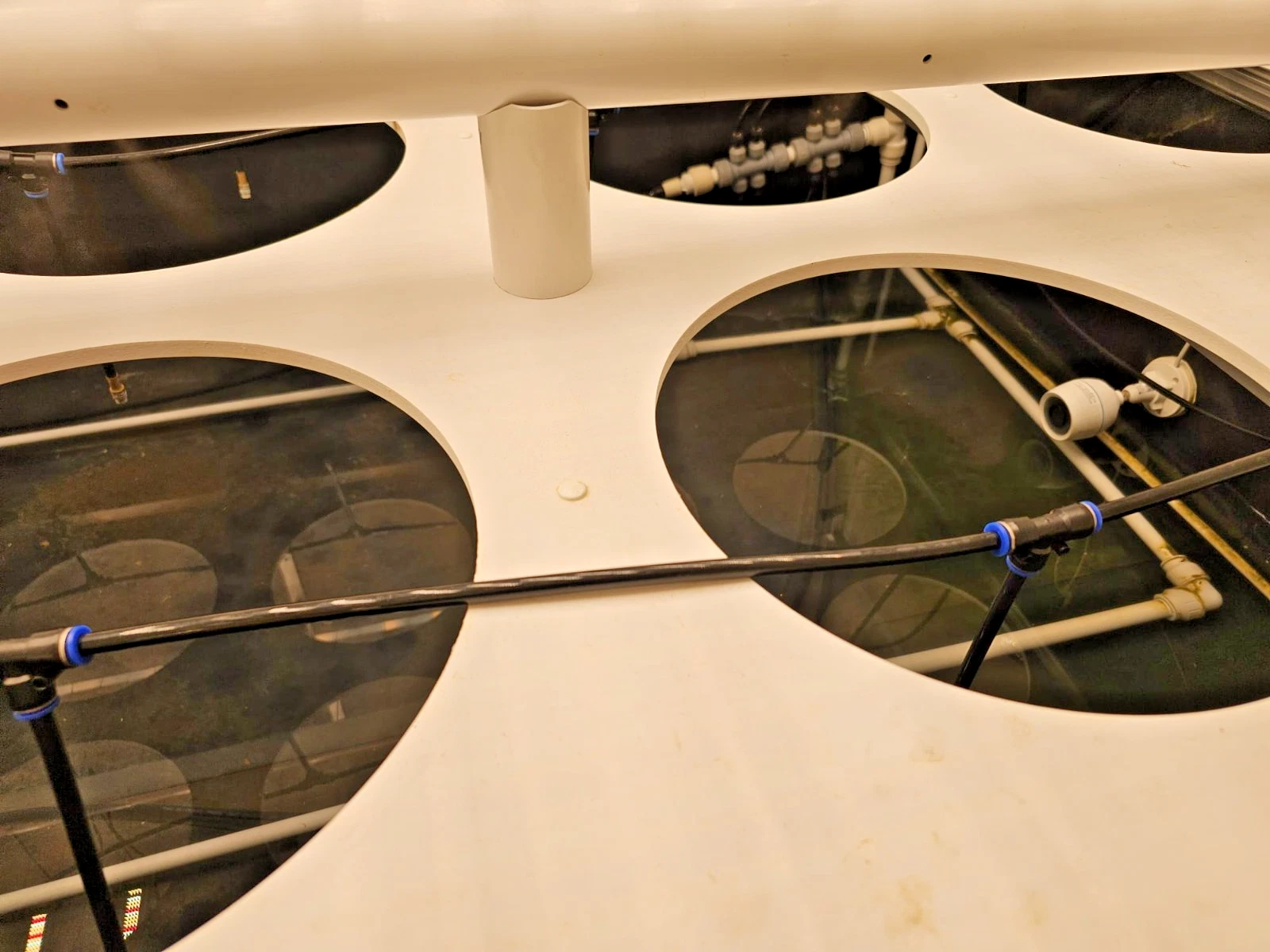 AI-Assisted Commercial Aeroponic & Hydroponic Biosphere - Image 8